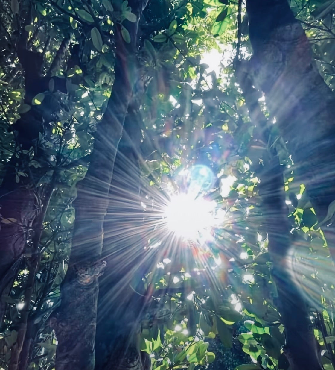 The Secret to Skin That Glows at Any Age
