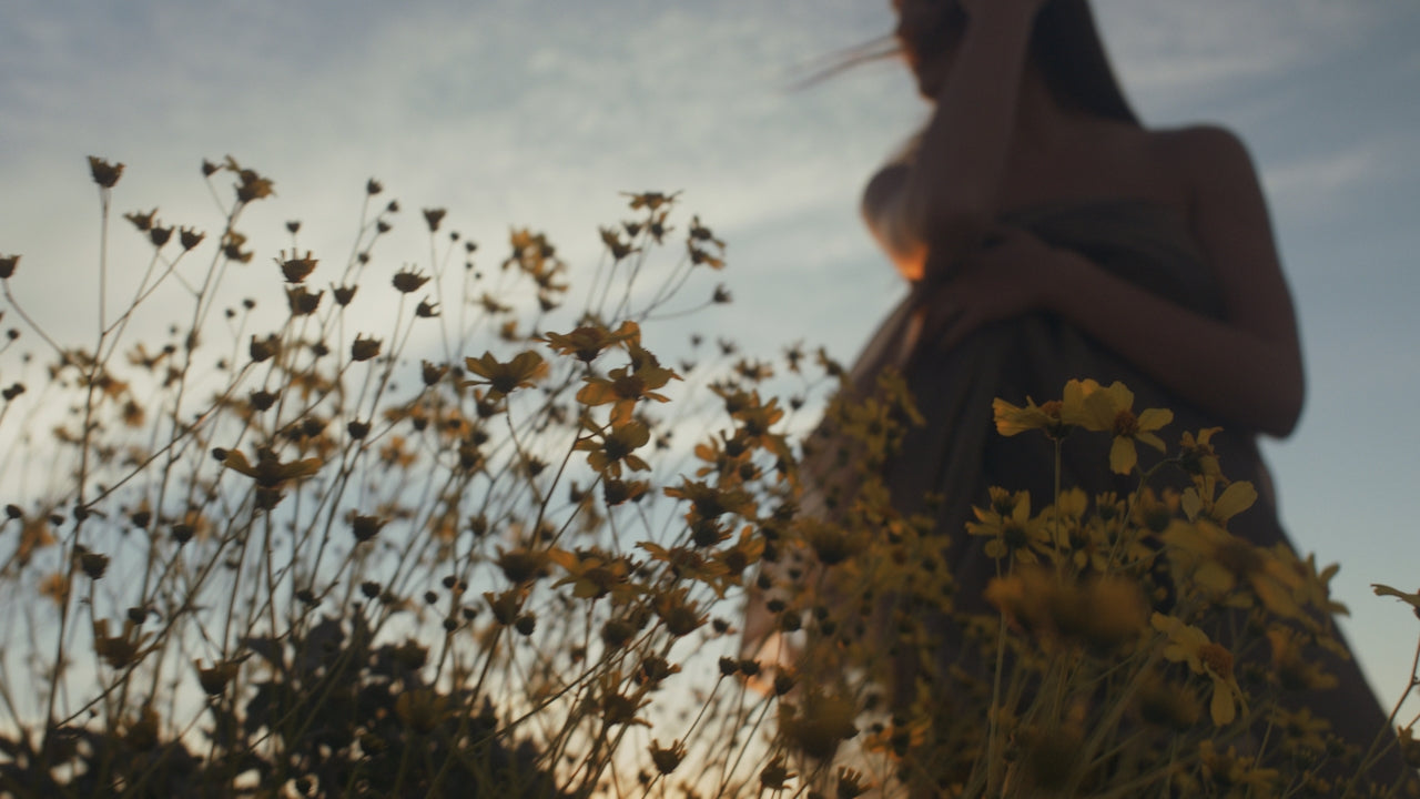 THE ART OF BIOALLOWING